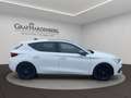 SEAT Leon 1.5 eTSI FR NAVI/SHZ/PDC / Panoramadach Weiß - thumbnail 7