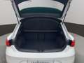 SEAT Leon 1.5 eTSI FR NAVI/SHZ/PDC / Panoramadach Weiß - thumbnail 19