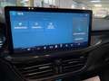 Ford Focus 1.5 ecoblue ST-Line 115cv auto 2024 Co Pilot Pack Grigio - thumbnail 14
