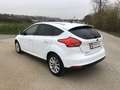 Ford Focus Titanium „Sam“ Wit - thumbnail 6