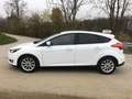 Ford Focus Titanium „Sam“ Wit - thumbnail 3