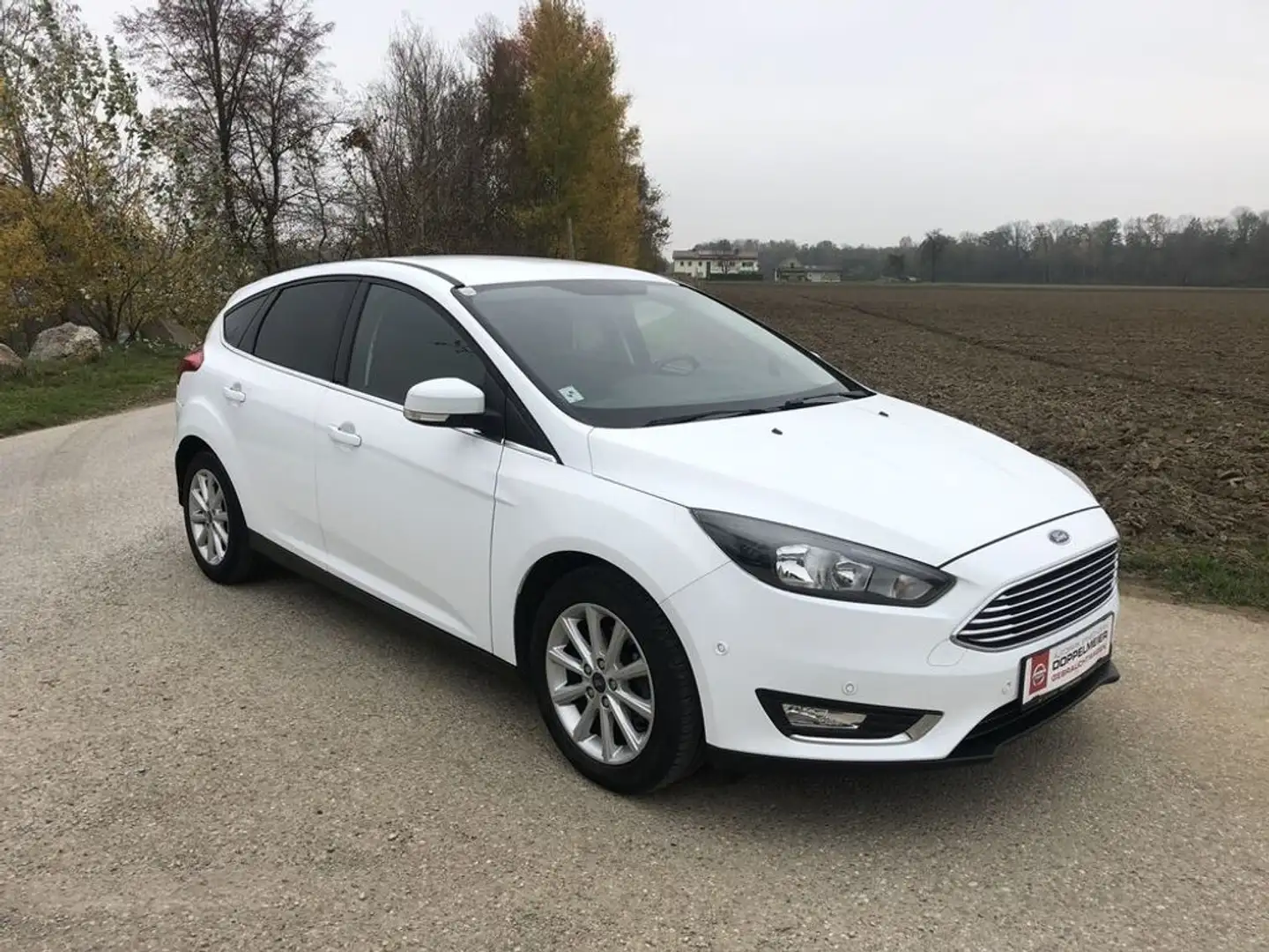 Ford Focus Titanium „Sam“ Wit - 2