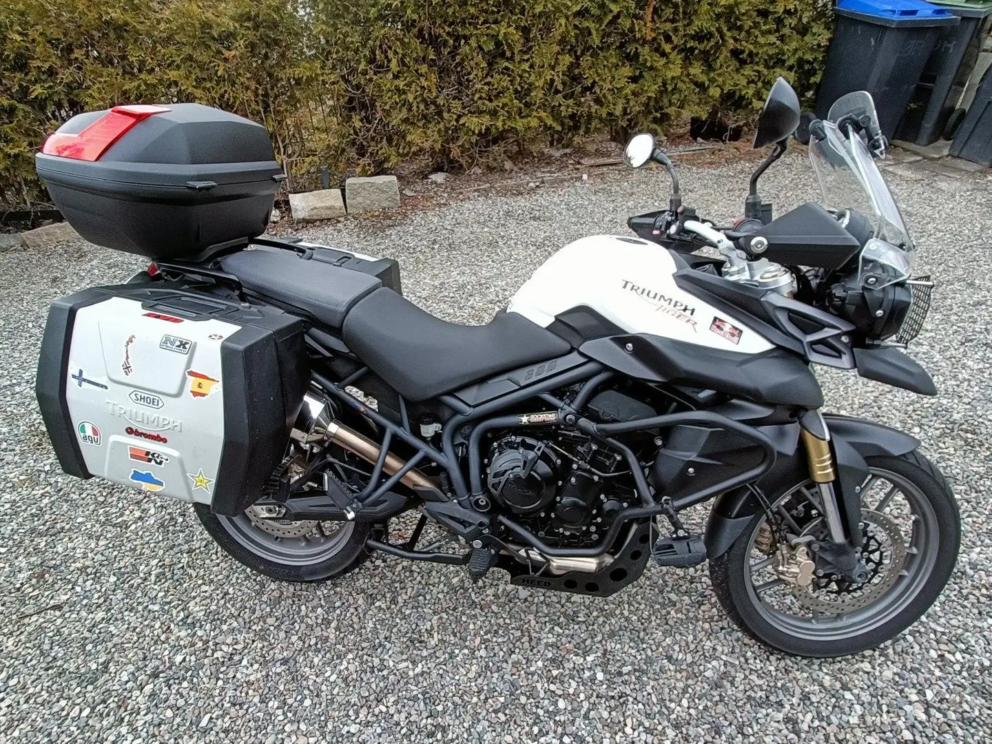 Triumph Tiger 800 Weiß - 1