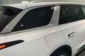 Hongqi E-HS9 President 99 kWh | Panoramadak | Adaptieve Cruise Weiß - thumbnail 8