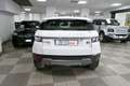 Land Rover Range Rover Evoque 2.2 TD4 5p. Pure Blanc - thumbnail 5