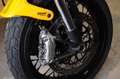 Ducati Scrambler 1100 TRIBUTE PRO Gelb - thumbnail 16