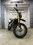 Fantic Caballero 500 Rally Verde - thumbnail 6