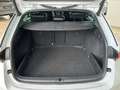 Skoda Octavia Combi RS Plus 2.0 TSI DSG Matrix ACC HUD Weiß - thumbnail 9