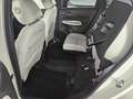 Honda Jazz Hybrid Executive Aut. | Auto Stahl Wien 23 Weiß - thumbnail 6