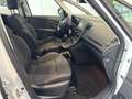 Renault Scenic IV 1.7 BLUE DCI 120CH LIFE Blanc - thumbnail 7