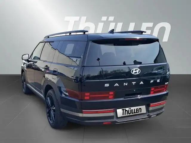 Hyundai Santa FE view 6