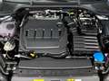 Skoda Octavia Combi Selection 2.0 TDI DSG AHK Canton Grau - thumbnail 14
