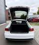 Audi A5 Sportback 2.0 TDI S-LINE+|SHZ|XENON|DSP|TOP| Weiß - thumbnail 25