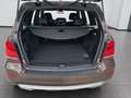Mercedes-Benz GLK 220 CDI 4MATIC PTS Shz eHeck Klima Sportpaket Braun - thumbnail 20