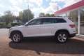 Skoda Kodiaq 1.5 TSI Ambition Navi Sitzheizung AHK ACC Bianco - thumbnail 7