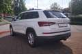Skoda Kodiaq 1.5 TSI Ambition Navi Sitzheizung AHK ACC Bianco - thumbnail 3