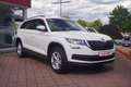 Skoda Kodiaq 1.5 TSI Ambition Navi Sitzheizung AHK ACC Bianco - thumbnail 5