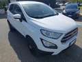 Ford EcoSport 1.5 Ecoblue 95 CV Start&Stop Plus Bianco - thumbnail 11