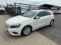 Mercedes-Benz A 180 BlueEfficiency RFK/ Bi-Xenon/ PDC/Leder Weiß - thumbnail 1