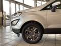 Ford EcoSport Cool&Connect 1.0 l Navi SHZ LenkradHZG Temp PDC Be Argent - thumbnail 6