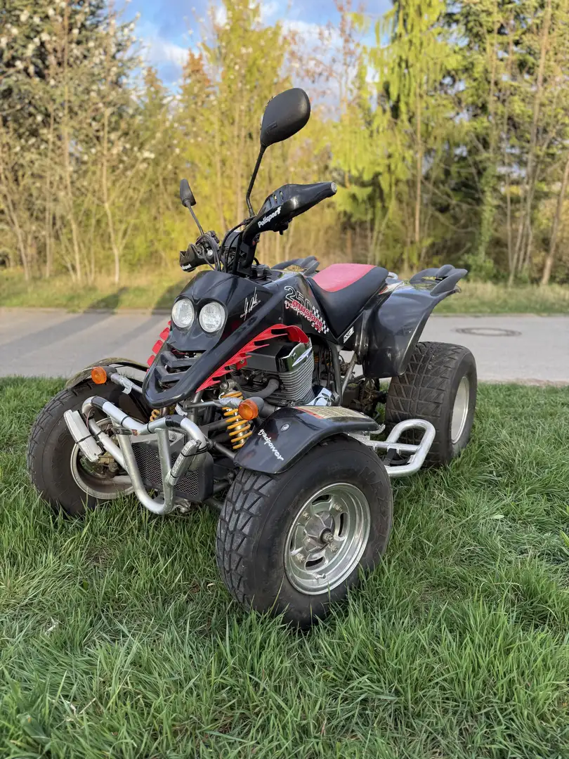 Kreidler Mustang 250 Sport - 2