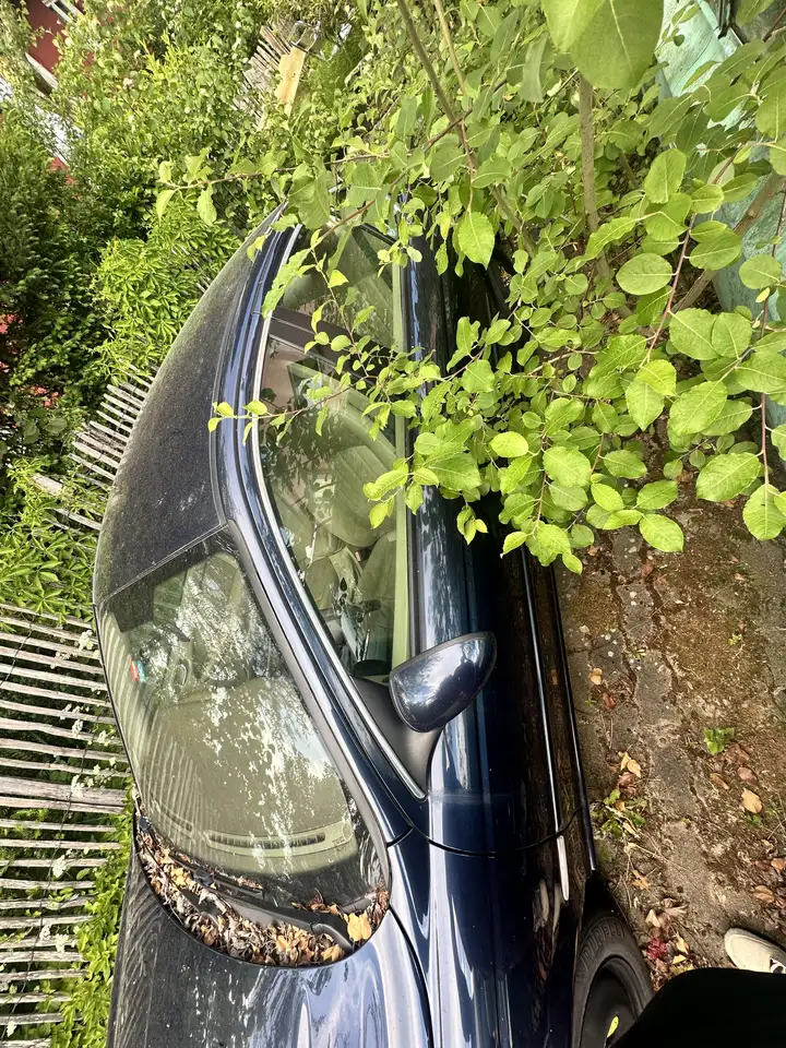 Jaguar X-Type, foto 9