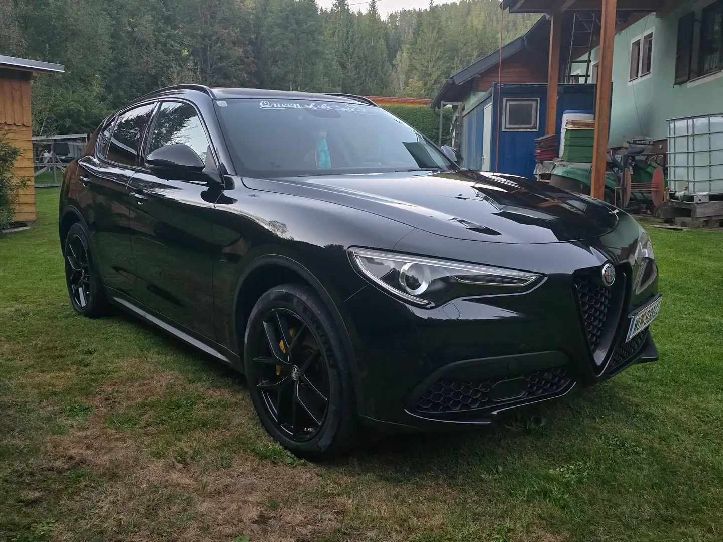 Alfa Romeo Stelvio Stelvio B-Tech 2,2 ATX AWD B-Tech Schwarz - 2