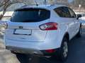 Ford Kuga Kuga 2,0 Trend 4x4 TDCI DPF Trend Weiß - thumbnail 4
