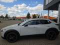Mazda CX-30 2.5L  140PS Nagisa, sofort - thumbnail 3