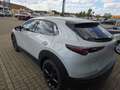 Mazda CX-30 2.5L  140PS Nagisa, sofort - thumbnail 4