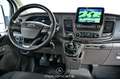 Ford Transit Variobus 2.0 EcoBlue L2 320 Trend 9-Sitzer Alb - thumbnail 10