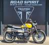 Triumph Scrambler Jaune - thumbnail 1
