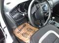 Kia Ceed / cee'd cee'd 1,6 CRDi ISG GT-Line Weiß - thumbnail 6