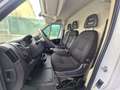 Fiat Ducato SERIE 8 35q - LH2 140 CV Weiß - thumbnail 11
