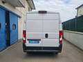 Fiat Ducato SERIE 8 35q - LH2 140 CV Weiß - thumbnail 5