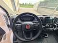Fiat Ducato SERIE 8 35q - LH2 140 CV Weiß - thumbnail 12