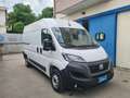 Fiat Ducato SERIE 8 35q - LH2 140 CV Weiß - thumbnail 1