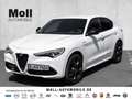 Alfa Romeo Stelvio VELOCE - 2.0T - Q4 - ASSISTENZ - PREMIUM Bianco - thumbnail 1