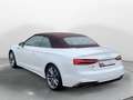 Audi S5 3.0 TFSI q. Tiptr., Matrix, Massage Weiß - thumbnail 5