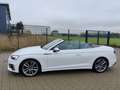 Audi S5 3.0 TFSI q. Tiptr., Matrix, Massage Weiß - thumbnail 17