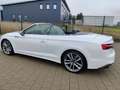 Audi S5 3.0 TFSI q. Tiptr., Matrix, Massage Weiß - thumbnail 18