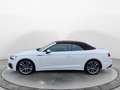 Audi S5 3.0 TFSI q. Tiptr., Matrix, Massage Weiß - thumbnail 2