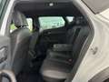 CUPRA Formentor Formentor 2.0 TDI 4Drive DSG 4 ANNI GARANZIA - thumbnail 8