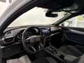 CUPRA Formentor Formentor 2.0 TDI 4Drive DSG 4 ANNI GARANZIA - thumbnail 13