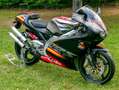 Aprilia RS 250 GP1 Gris - thumbnail 8
