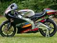 Aprilia RS 250 GP1 Gris - thumbnail 11