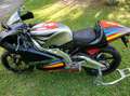 Aprilia RS 250 GP1 Gris - thumbnail 12