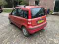 Fiat Panda 1.2 Dynamic Rouge - thumbnail 3