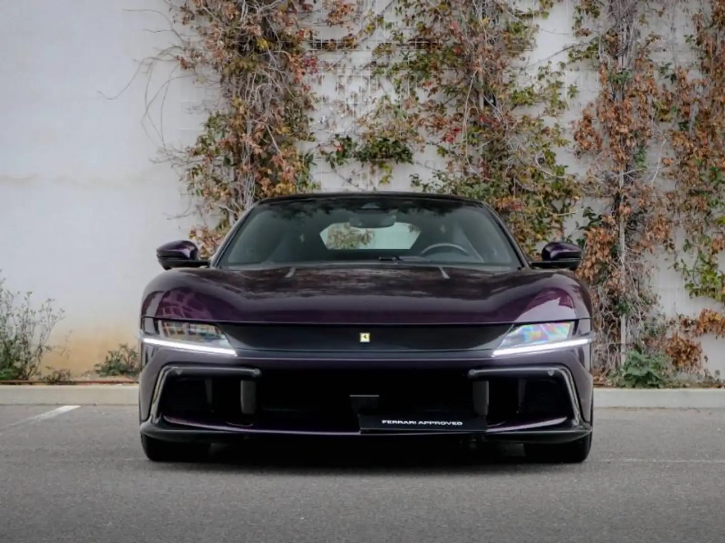 Ferrari 12 Cilindri coupé Violett - 2