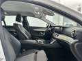Mercedes-Benz E 220 Classe E SW SW d Premium Plus 4matic auto AMG Bianco - thumbnail 15